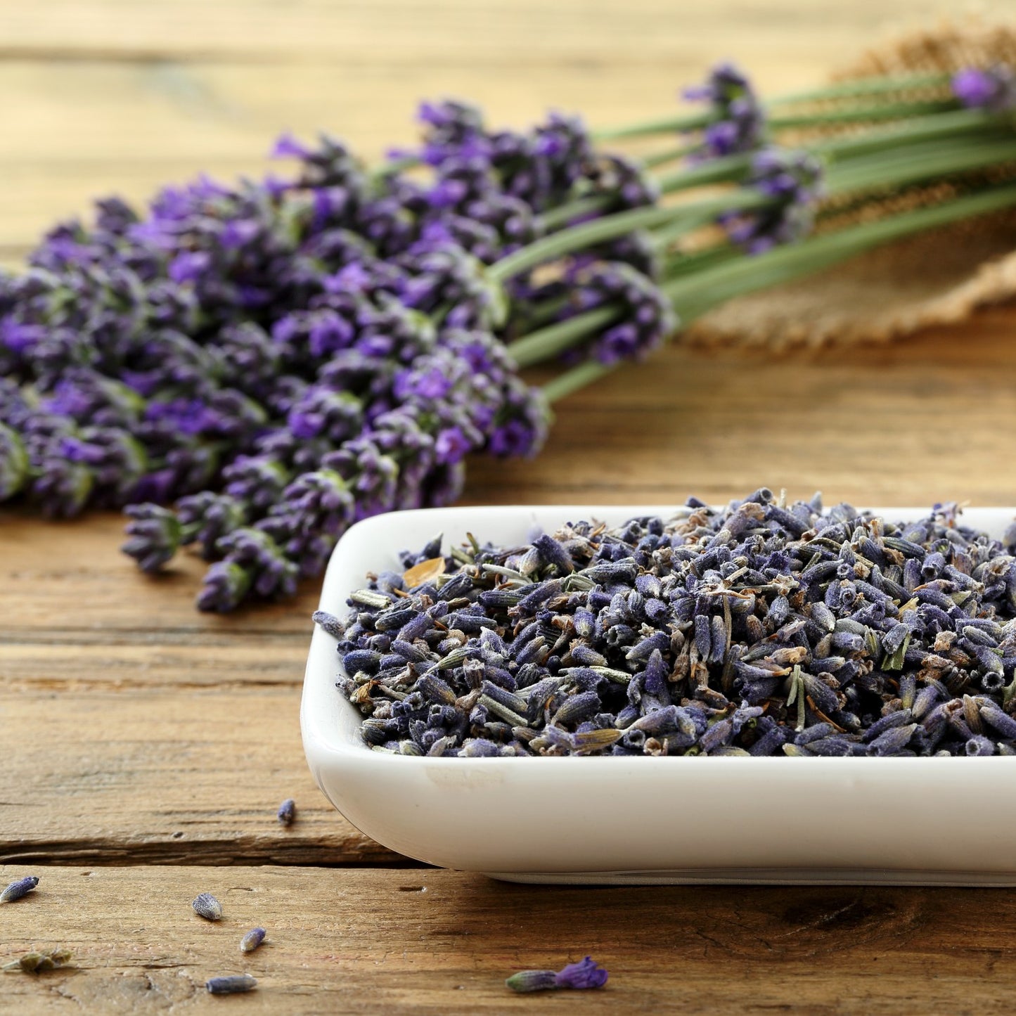 'French Lavender' Liquid Soap