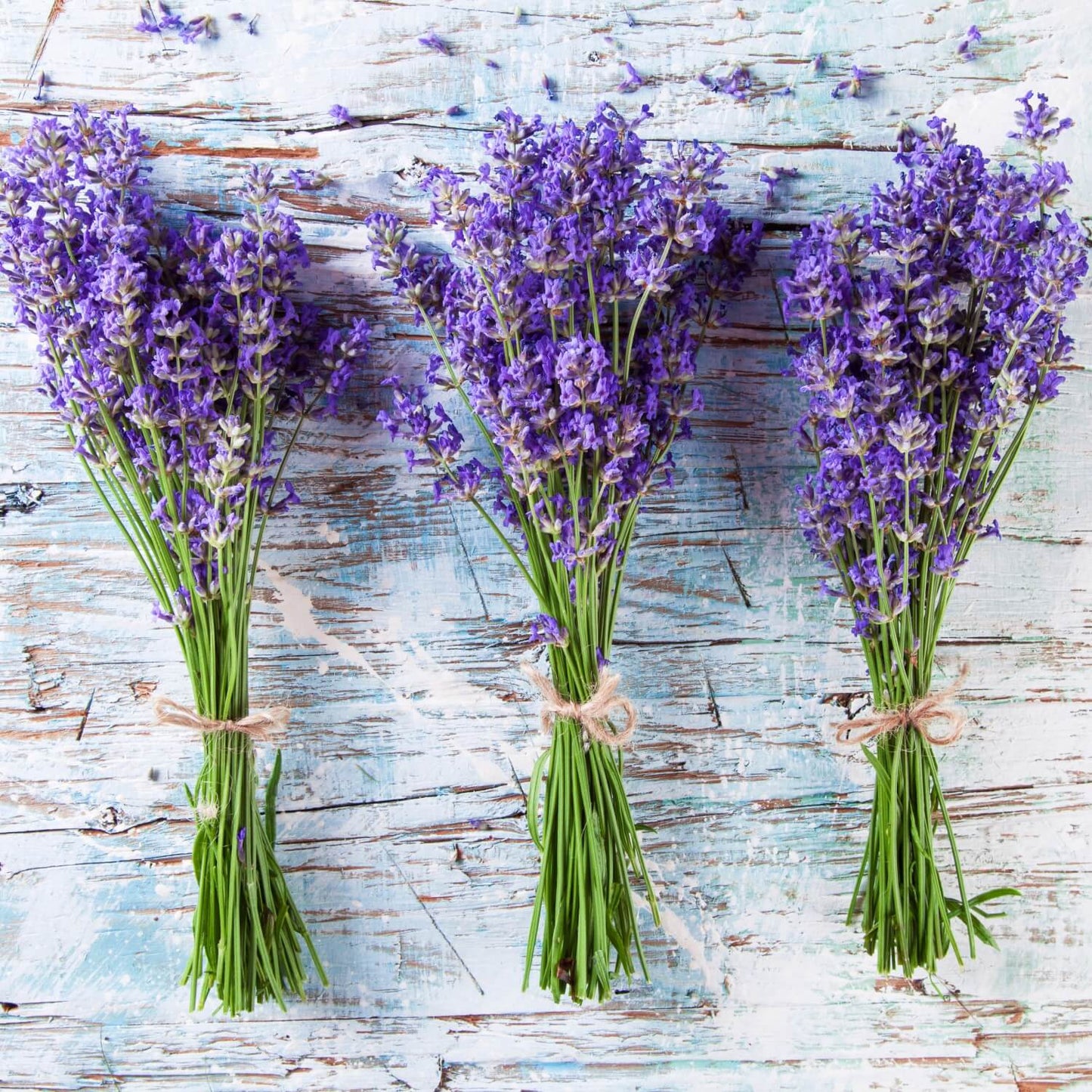 'Lovely Lavender' Bath Bomb (Twin Pack)