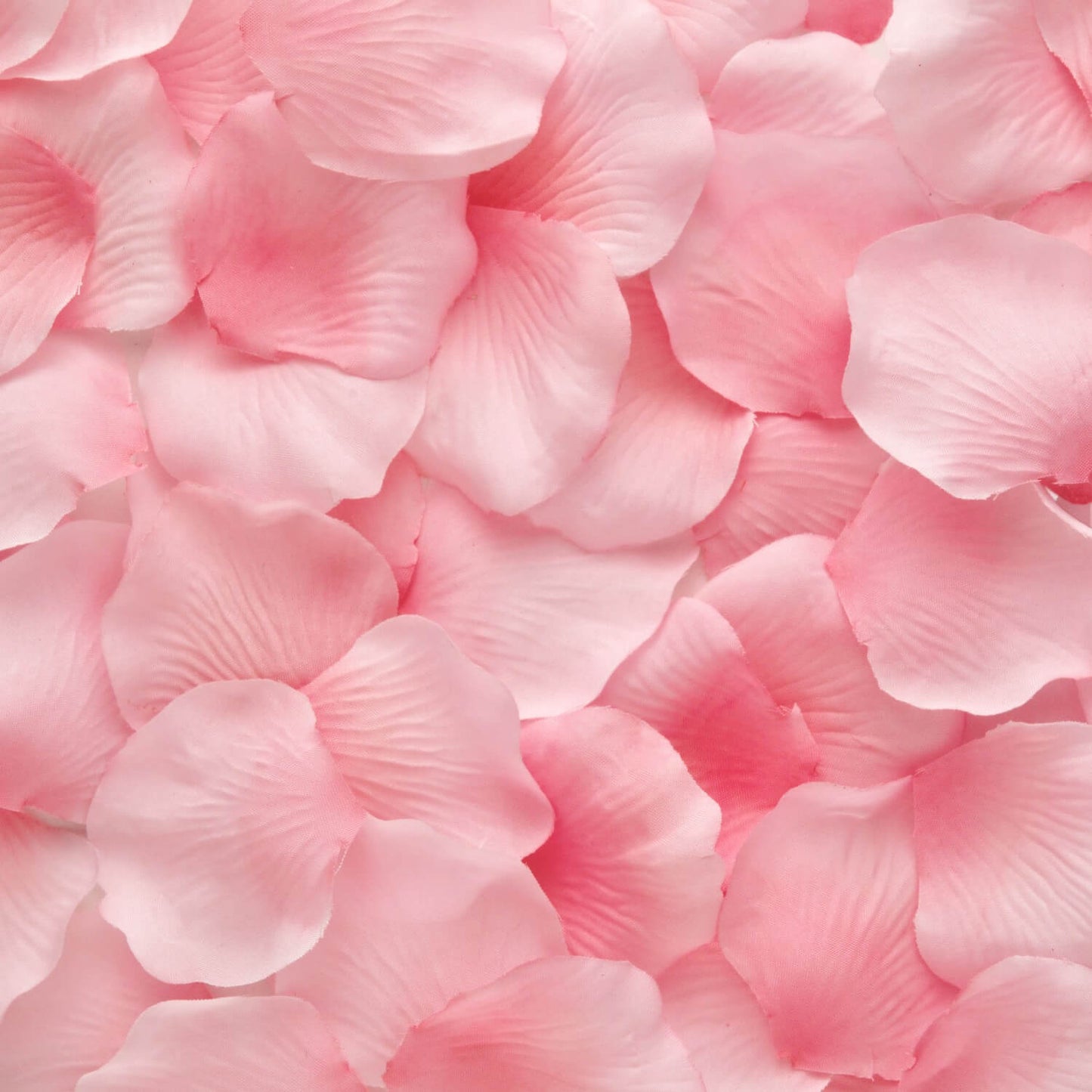 'Sparkling Rose' Bath Bomb (Twin Pack)