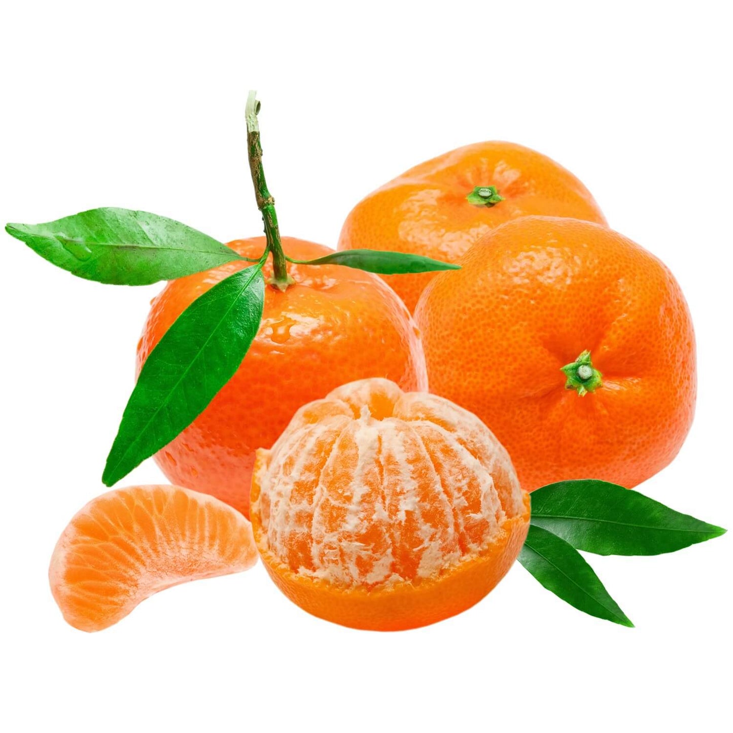 Tangerine Cream Soap