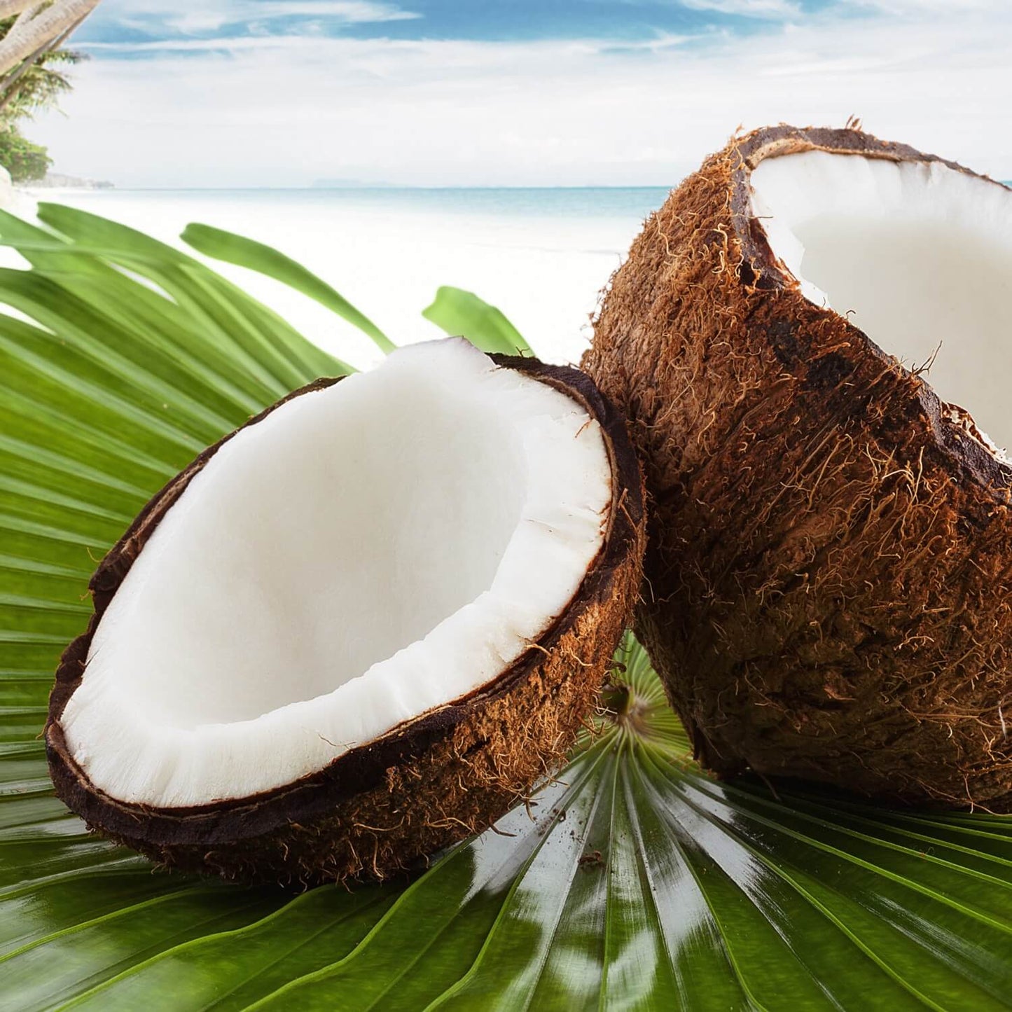 'Tropical Island Coconut' Soap Bar