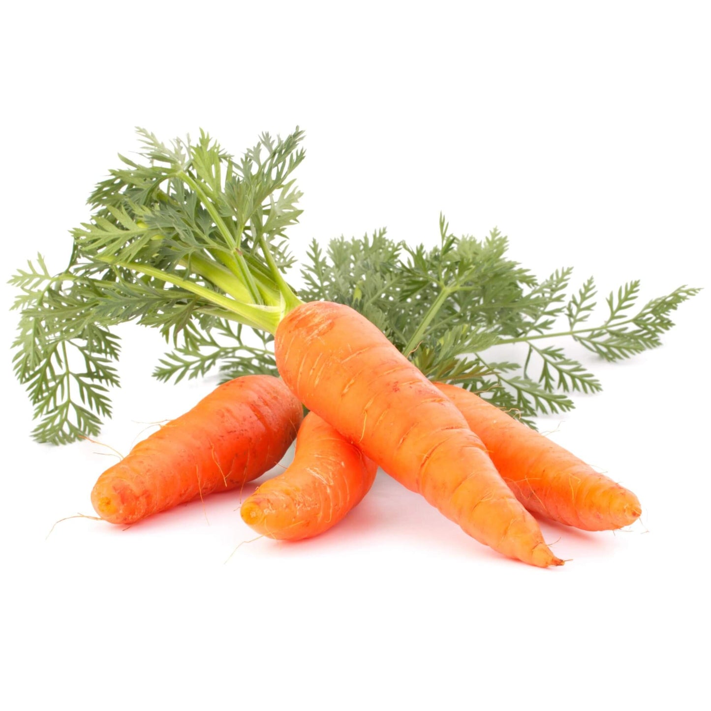 'Rooted Glow Carrot' Soap Bar