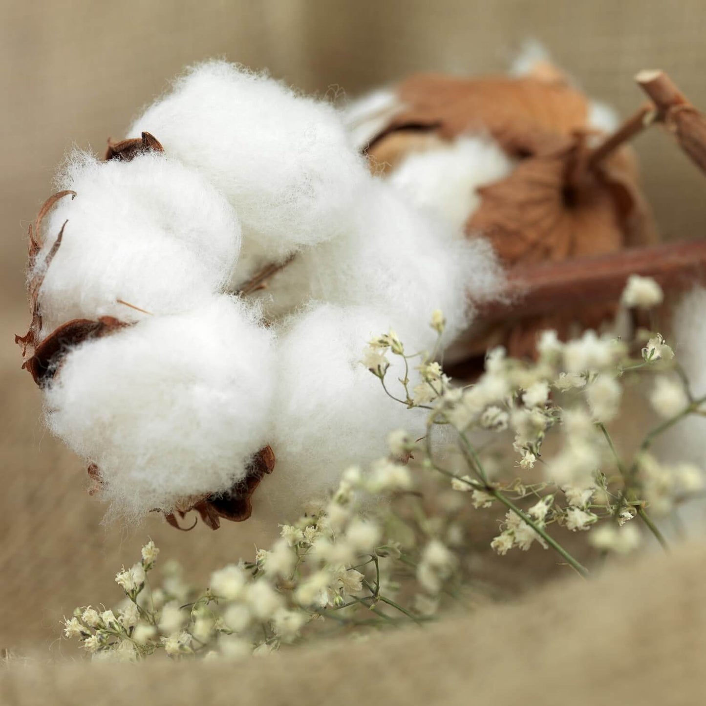 Cotton Flower Cream Soap