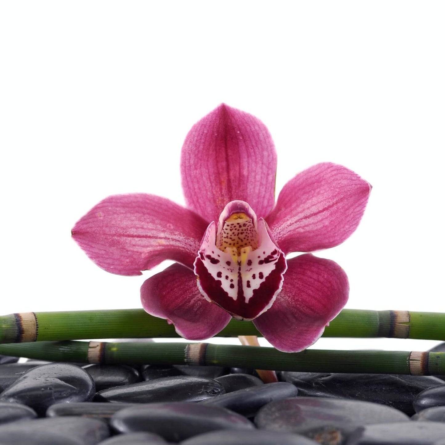 'Black Orchid Enchantment' Soap Bar
